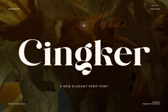 Cingker: A Bold Serif Font for Creative Branding