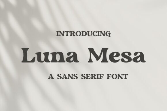Luna Mesa: A Sans Serif Font for Modern Editorial Design