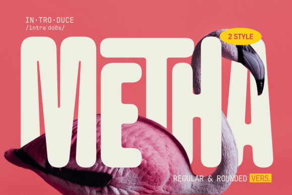 Metha: A Modern Sans Serif Font for Web Design