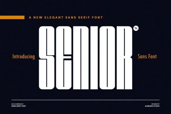 Sophisticated Senior Font for Handmade Creations