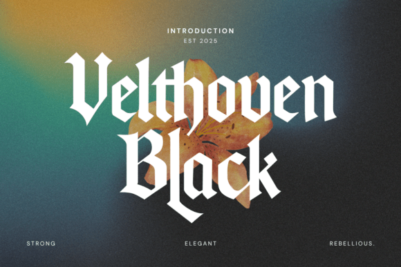 Velthoven Black: A Modern Blackletter Typeface for Editorial Design